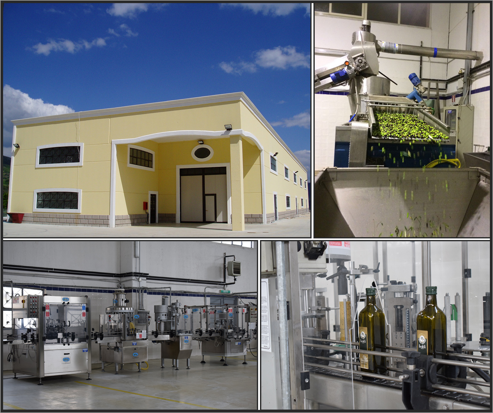 Azienda.jpg